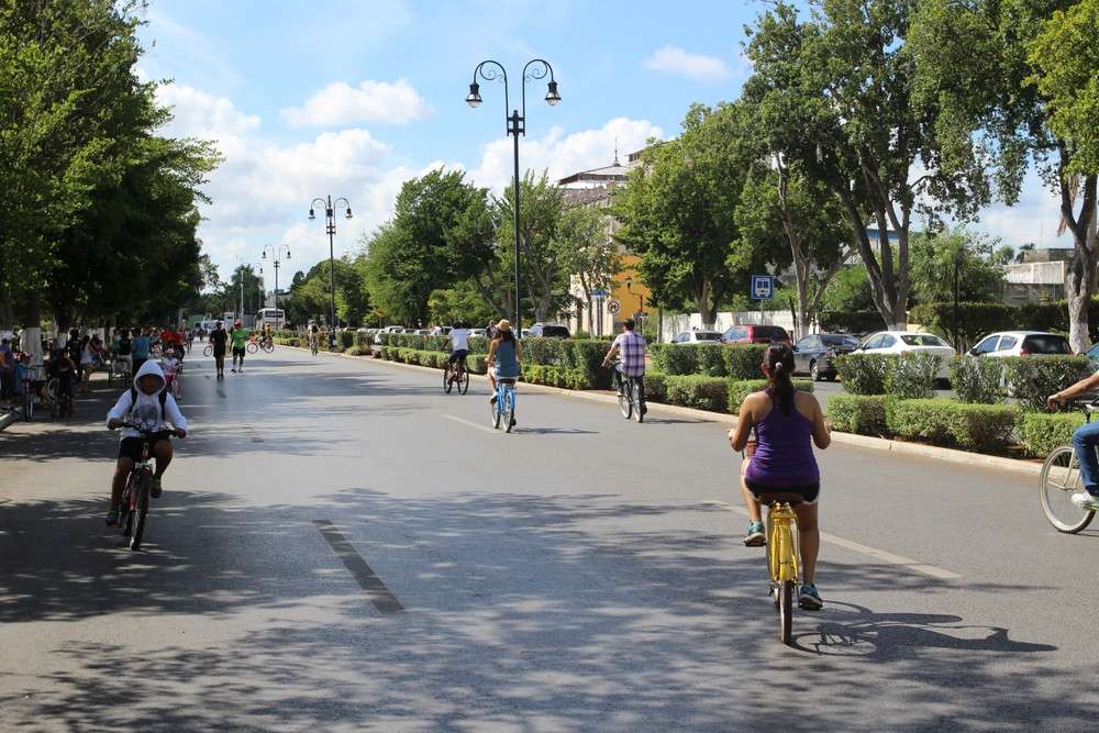Featured image for blog post titled "Family-Friendly Stays in Yucatan: Experience Biciruta on Paseo Montejo"