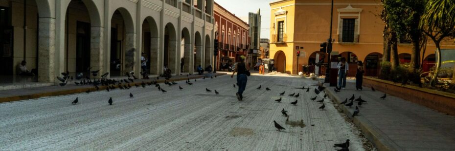 Featured image for blog post titled "A Guide to Mérida's Stunning Colonial Architecture"