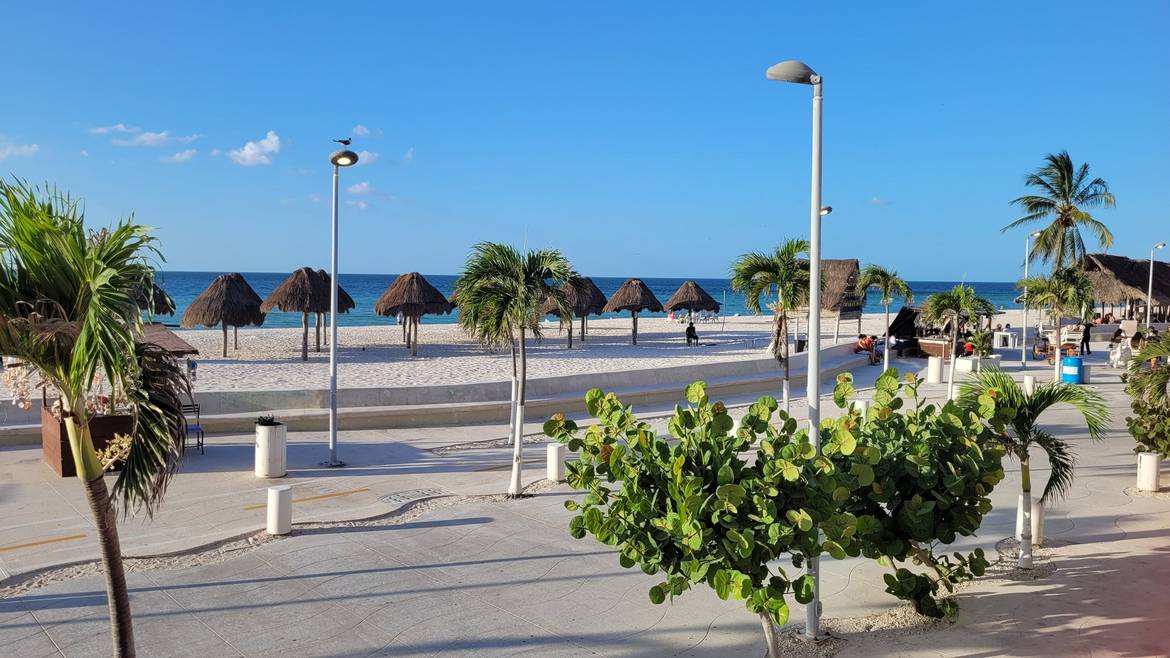Malecón de Progreso con palmeras y palapas frente al mar